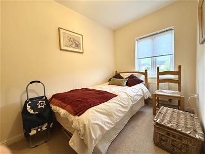 Picture 11